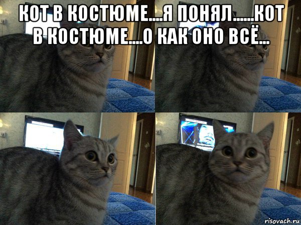 кот в костюме....я понял......кот в костюме....о как оно всё... , Мем  Кот в шоке