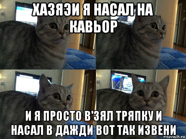 хазяэи я насал на кавьор и я просто в'зял тряпку и насал в дажди вот так извени