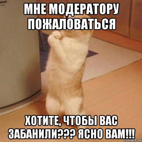 мне модератору пожаловаться хотите, чтобы вас забанили??? ясно вам!!!, Мем  котэ молится