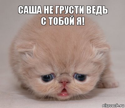 Саша не грусти ведь с тобой я!