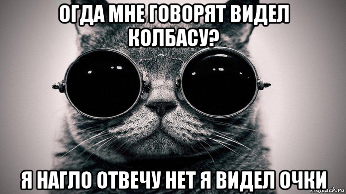 огда мне говорят видел колбасу? я нагло отвечу нет я видел очки, Мем Котоматрица