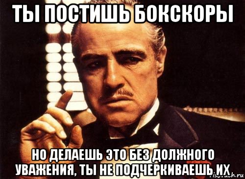 ты постишь бокскоры но делаешь это без должного уважения, ты не подчеркиваешь их, Мем крестный отец