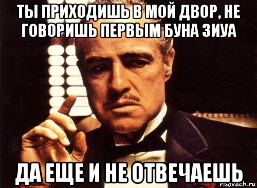 ты приходишь в мой двор, не говоришь первым буна зиуа да еще и не отвечаешь, Мем крестный отец