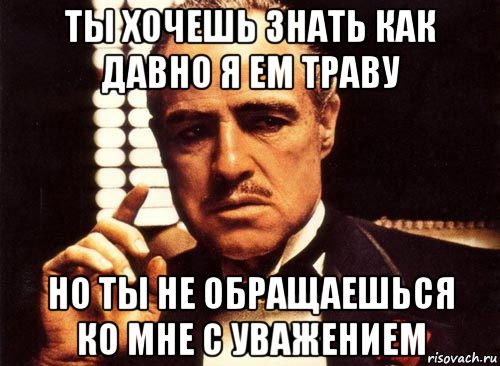 ты хочешь знать как давно я ем траву но ты не обращаешься ко мне с уважением, Мем крестный отец