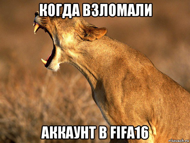 когда взломали аккаунт в fifa16, Мем Легче убить