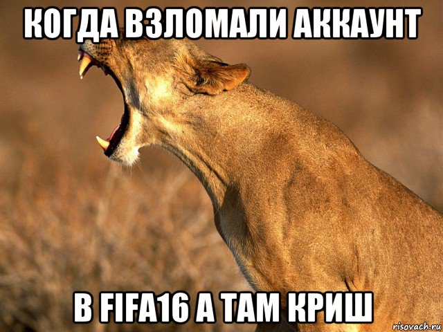 когда взломали аккаунт в fifa16 а там криш, Мем Легче убить