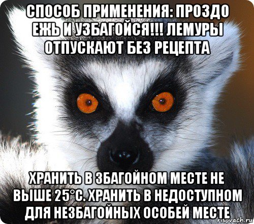 способ применения: проздо ежь и узбагойся!!! лемуры отпускают без рецепта хранить в збагойном месте не выше 25°с. хранить в недоступном для незбагойных особей месте, Мем лемур