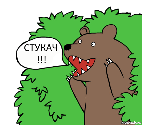 СТУКАЧ !!!, Комикс медведь из кустов