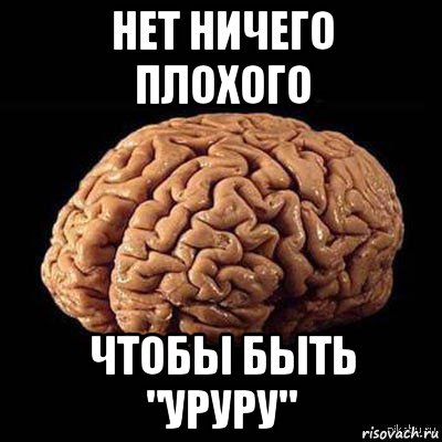 Зона удовольствия. Мозг Мем. Головного мозга Мем. Мозг сваливаю короче.