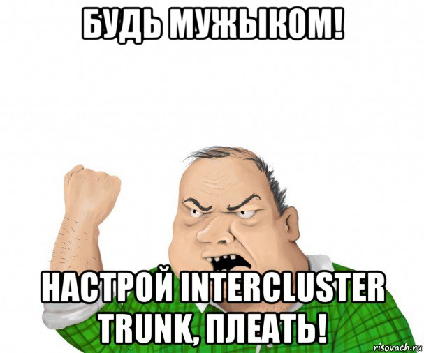 будь мужыком! настрой intercluster trunk, плеать!, Мем мужик