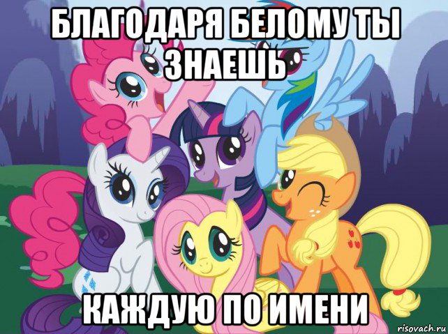 благодаря белому ты знаешь каждую по имени, Мем My little pony