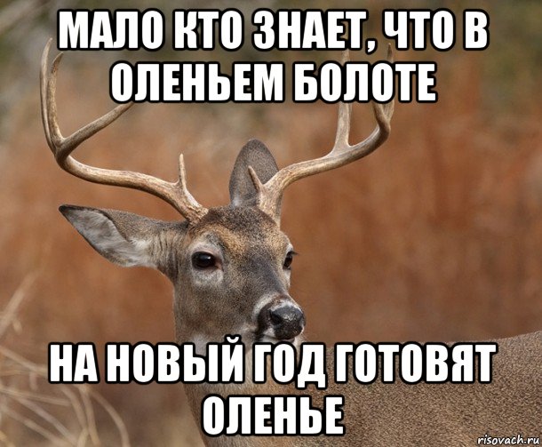 мало кто знает, что в оленьем болоте на новый год готовят оленье, Мем  Наивный Олень v2