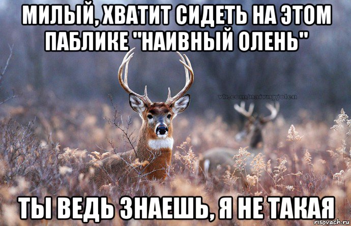 Хватит сидеть в телефоне картинки