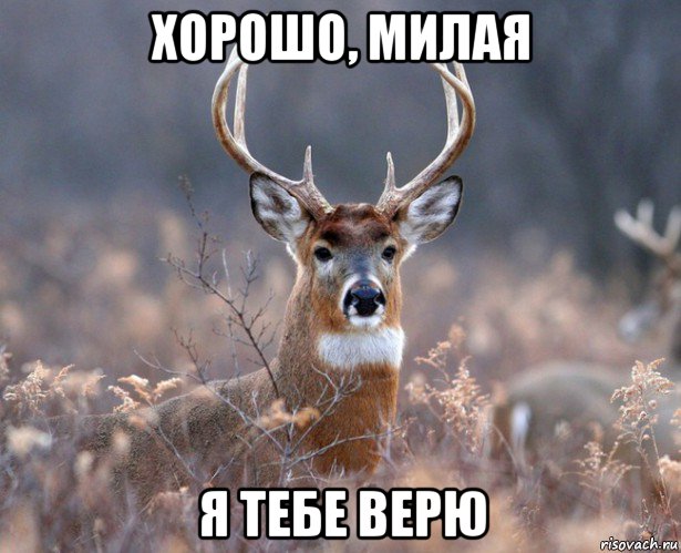 хорошо, милая я тебе верю