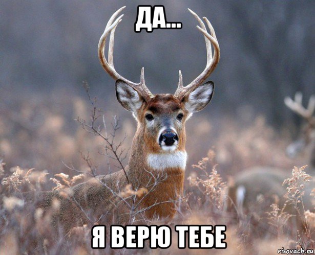 да... я верю тебе