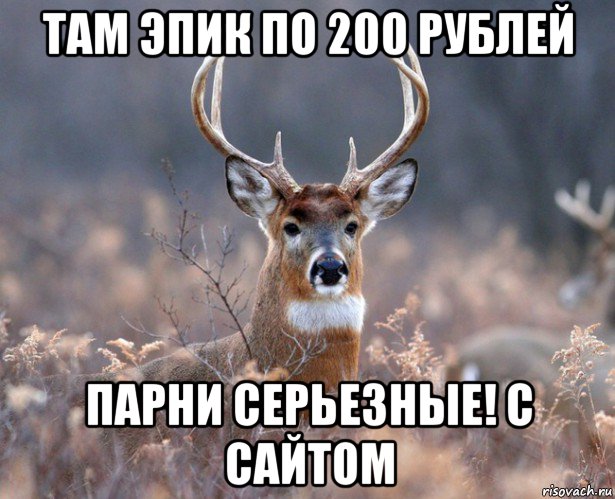 там эпик по 200 рублей парни серьезные! с сайтом