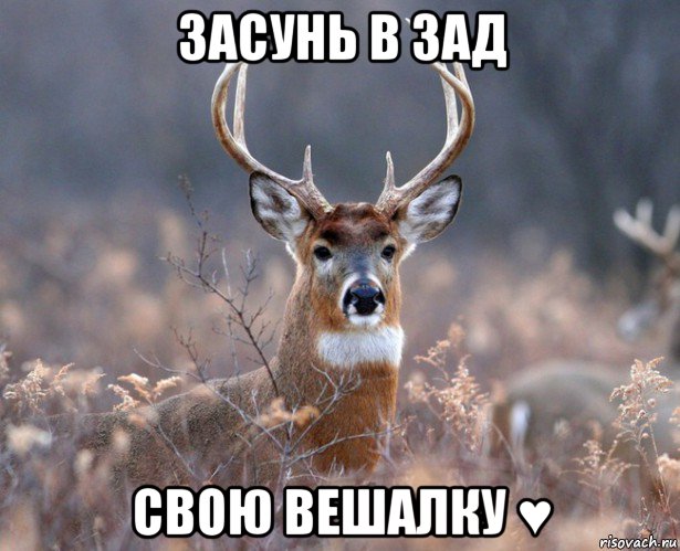 засунь в зад свою вешалку ♥