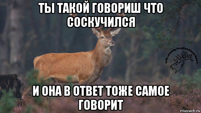 Тоже самое