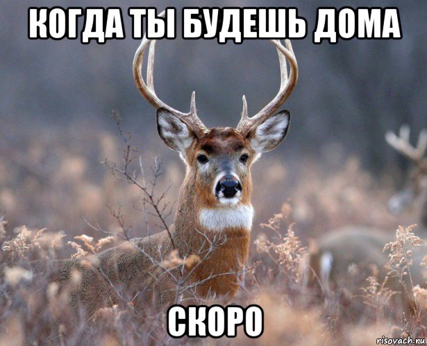 когда ты будешь дома скоро