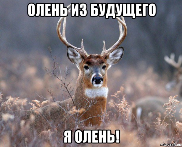 олень из будущего я олень!