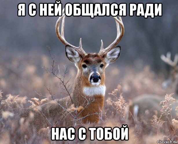 я с ней общался ради нас с тобой