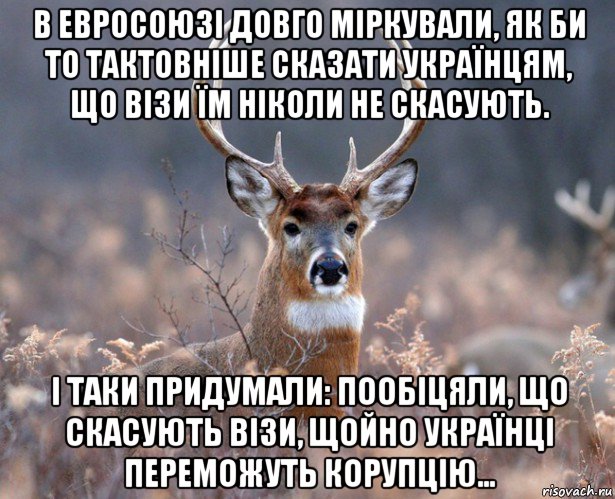 в евросоюзі довго міркували, як би то тактовніше сказати українцям, що візи їм ніколи не скасують. і таки придумали: пообіцяли, що скасують візи, щойно українці переможуть корупцію…