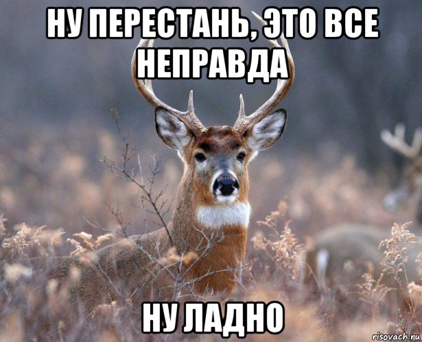 ну перестань, это все неправда ну ладно