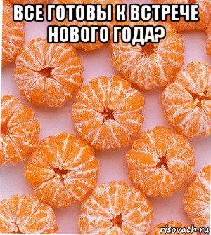 все готовы к встрече нового года? , Мем  НОВОГОДНИЕ СЕМКИ