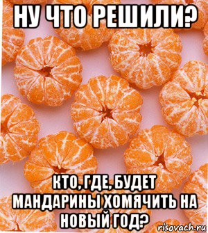 ну что решили? кто, где, будет мандарины хомячить на новый год?, Мем  НОВОГОДНИЕ СЕМКИ