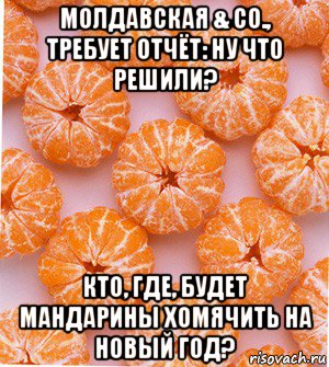 молдавская & co., требует отчёт: ну что решили? кто, где, будет мандарины хомячить на новый год?