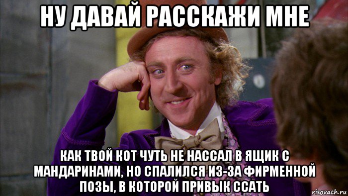 ну давай расскажи мне как твой кот чуть не нассал в ящик с мандаринами, но спалился из-за фирменной позы, в которой привык ссать, Мем Ну давай расскажи (Вилли Вонка)