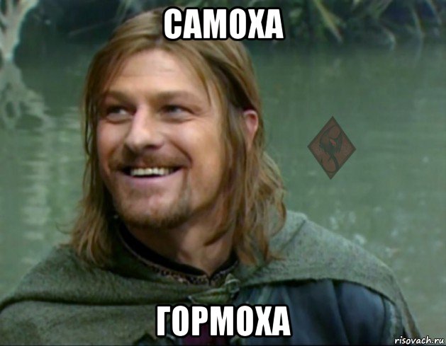 самоха гормоха