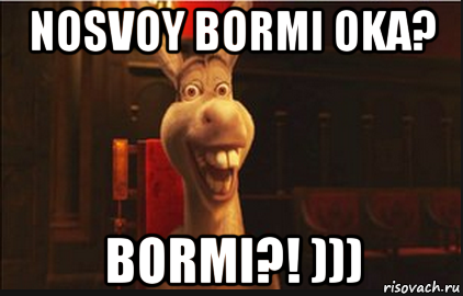 nosvoy bormi oka? bormi?! ))), Мем Осел из Шрека