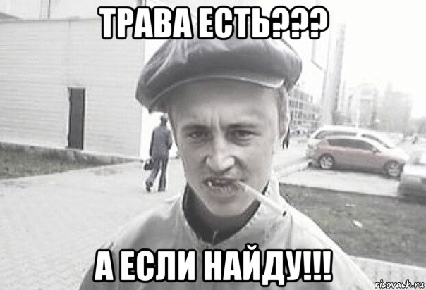 трава есть??? а если найду!!!