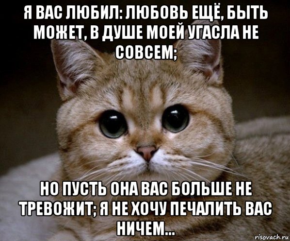 я вас любил: любовь ещё, быть может, в душе моей угасла не совсем; но пусть она вас больше не тревожит; я не хочу печалить вас ничем..., Мем Пидрила Ебаная