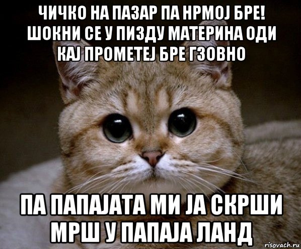 чичко на пазар па нрмој бре! шокни се у пизду материна оди кај прометеј бре гзовно па папајата ми ја скрши мрш у папаја ланд, Мем Пидрила Ебаная