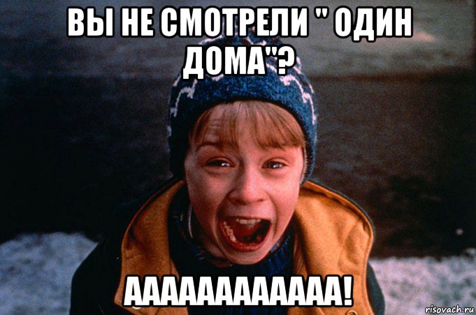 вы не смотрели " один дома"? аааааааааааа!, Мем Один дома орет