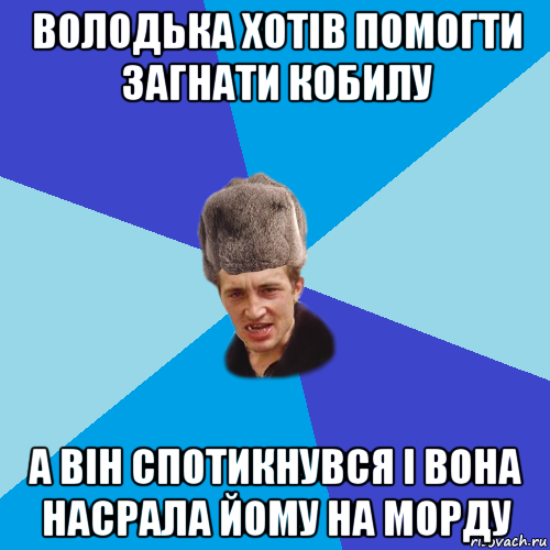 володька хотів помогти загнати кобилу а він спотикнувся і вона насрала йому на морду, Мем Празднчний паца