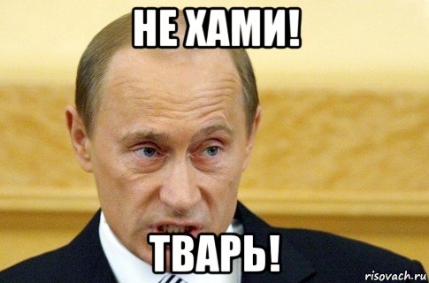 не хами! тварь!, Мем путин