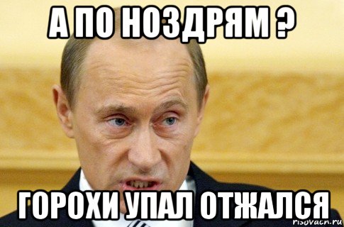 а по ноздрям ? горохи упал отжался, Мем путин