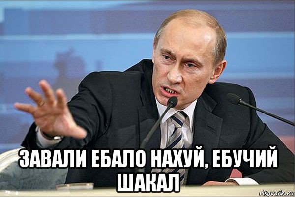  завали ебало нахуй, ебучий шакал, Мем Путин