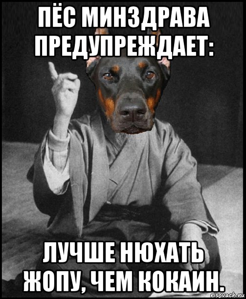 Собака нюхает руку мем