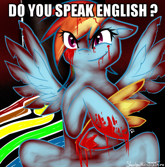 do you speak english ? , Мем RAINBOW FACTORY DASH