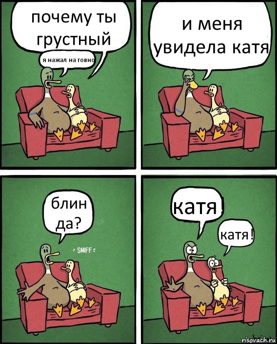 почему ты грустный я нажал на говно и меня увидела катя блин да? катя! катя!, Комикс  Разговор уток