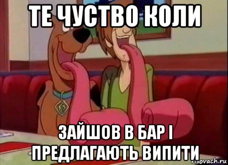 те чуство коли зайшов в бар і предлагають випити, Мем Скуби ду