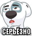  серьёзно