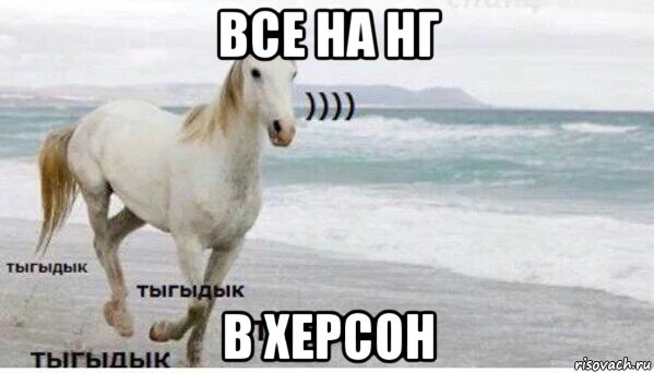 все на нг в херсон, Мем   Тыгыдык