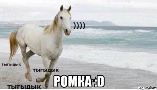  ромка :d, Мем   Тыгыдык