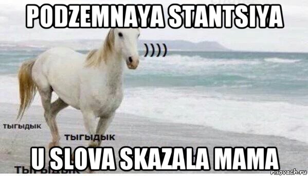 podzemnaya stantsiya u slova skazala mama, Мем   Тыгыдык