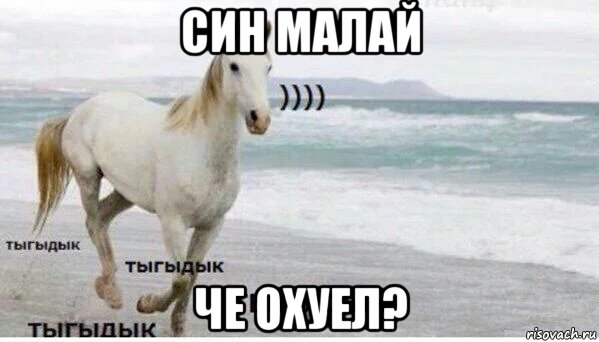 син малай че охуел?, Мем   Тыгыдык